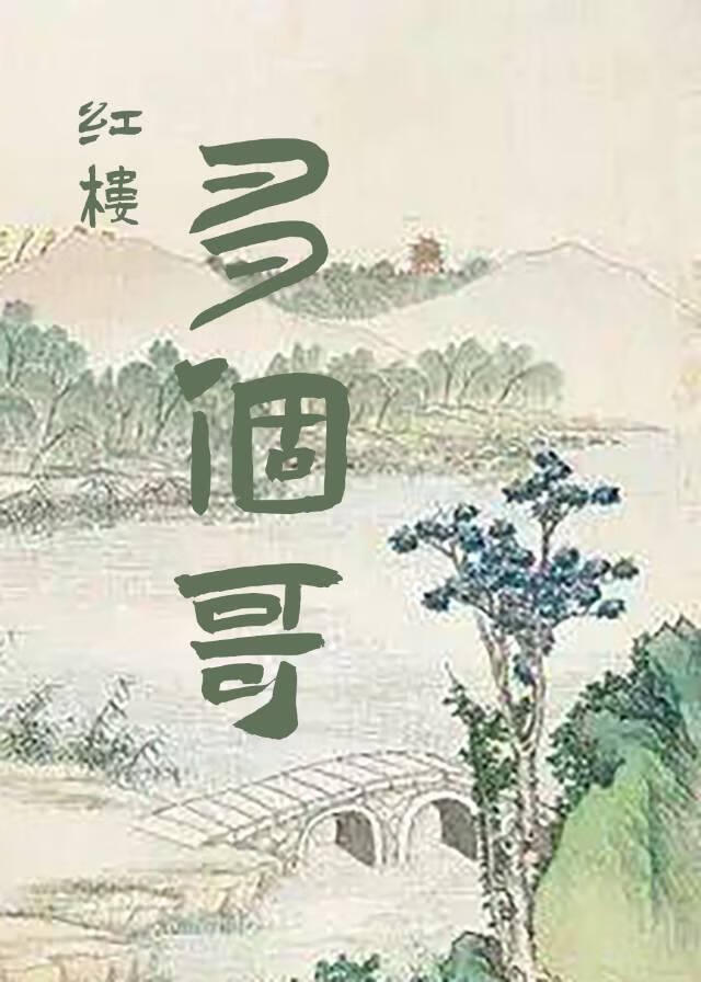 红楼题材小说多女主