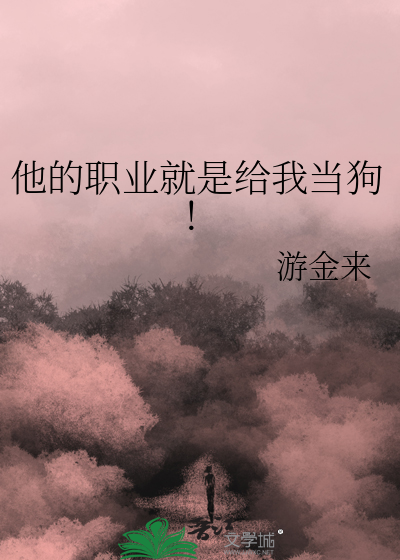 他的职业是律师