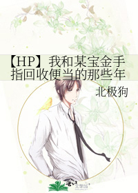 【HP】我和某宝金手指回收便当的那些年